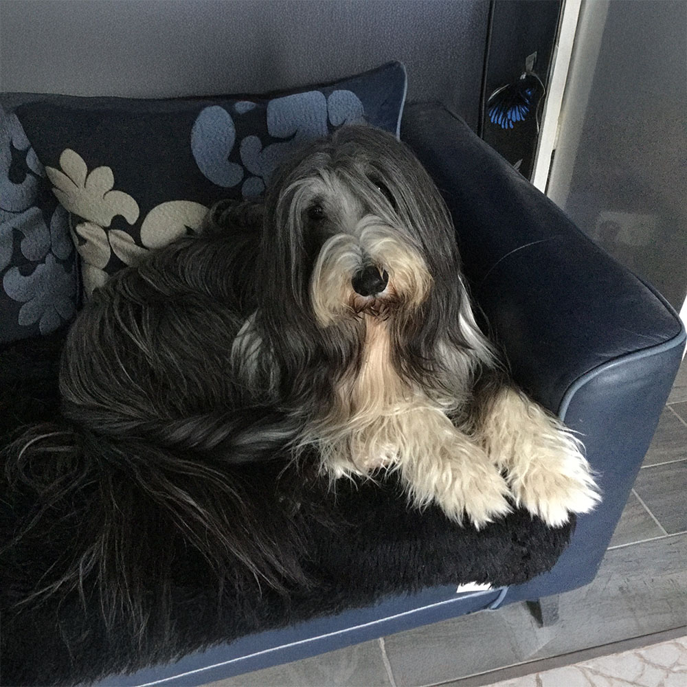 Hiding in the bushes